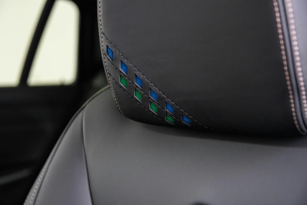 Alpina Logo in hoofdsteun