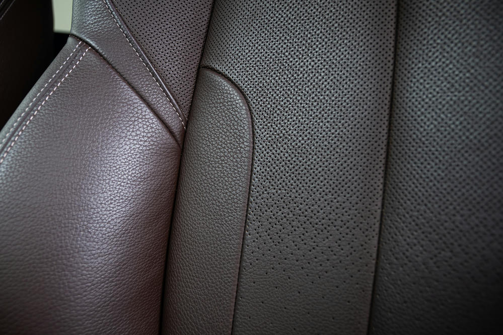 BMW - X1 xDrive20i -Leder Dakota Mokka (2).jpg