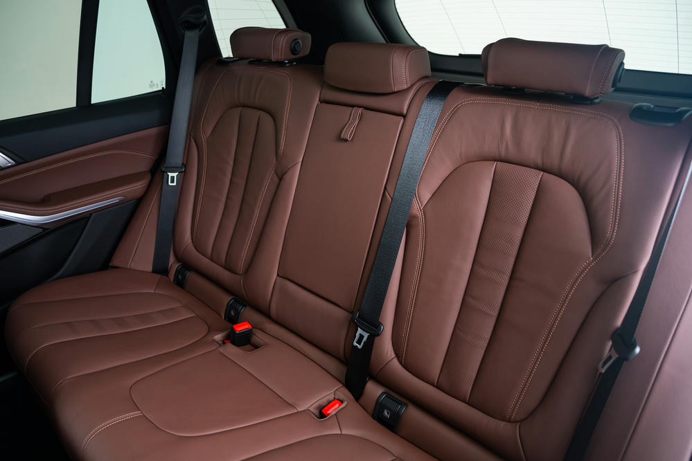 BMW - X5 xDrive45e Leder Vernasca Coffee (3).jpg