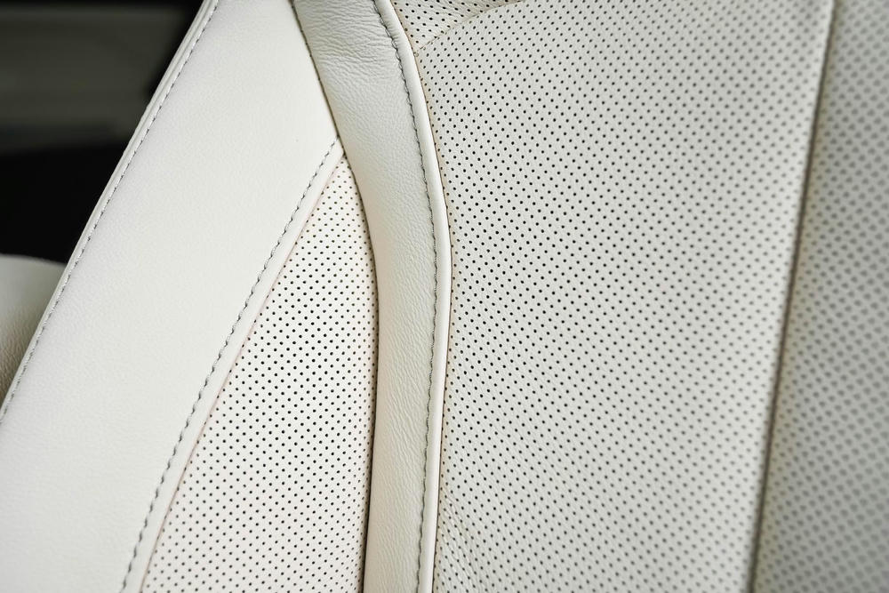 BMW Leder Vernasca Canberrabeige (3).jpg