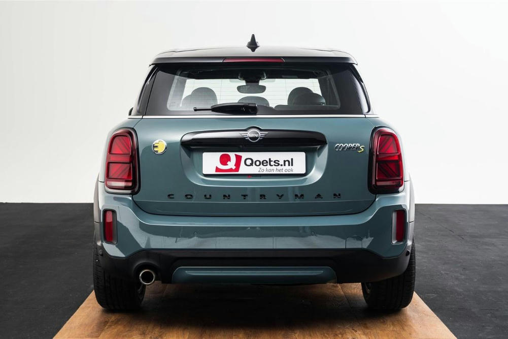 Mini Sage Green metallic (11)