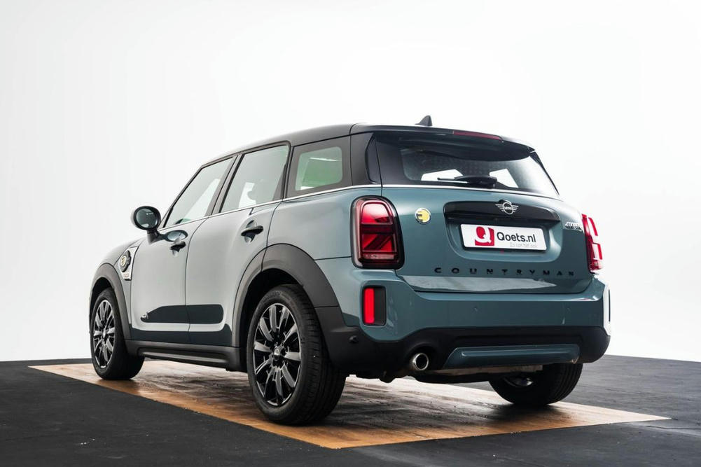 Mini Sage Green metallic (13)