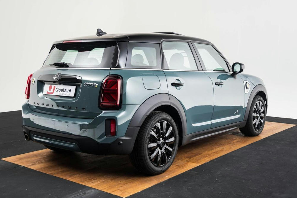 Mini Sage Green metallic (9)