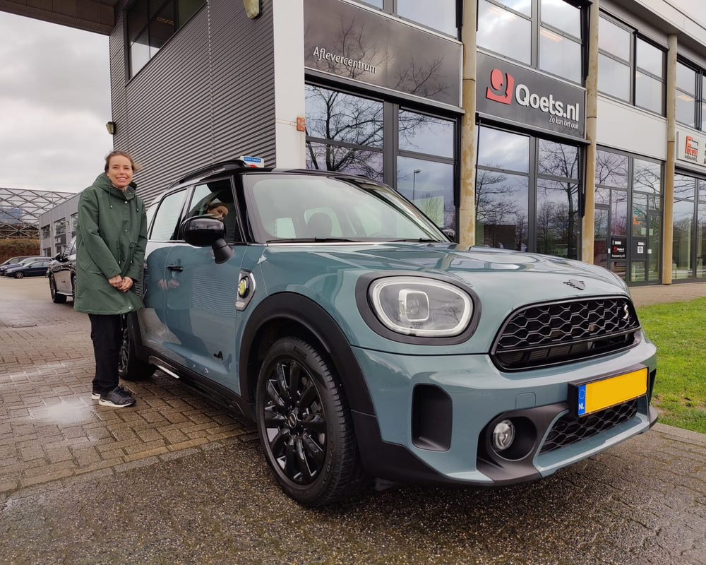 Untitled design (17)