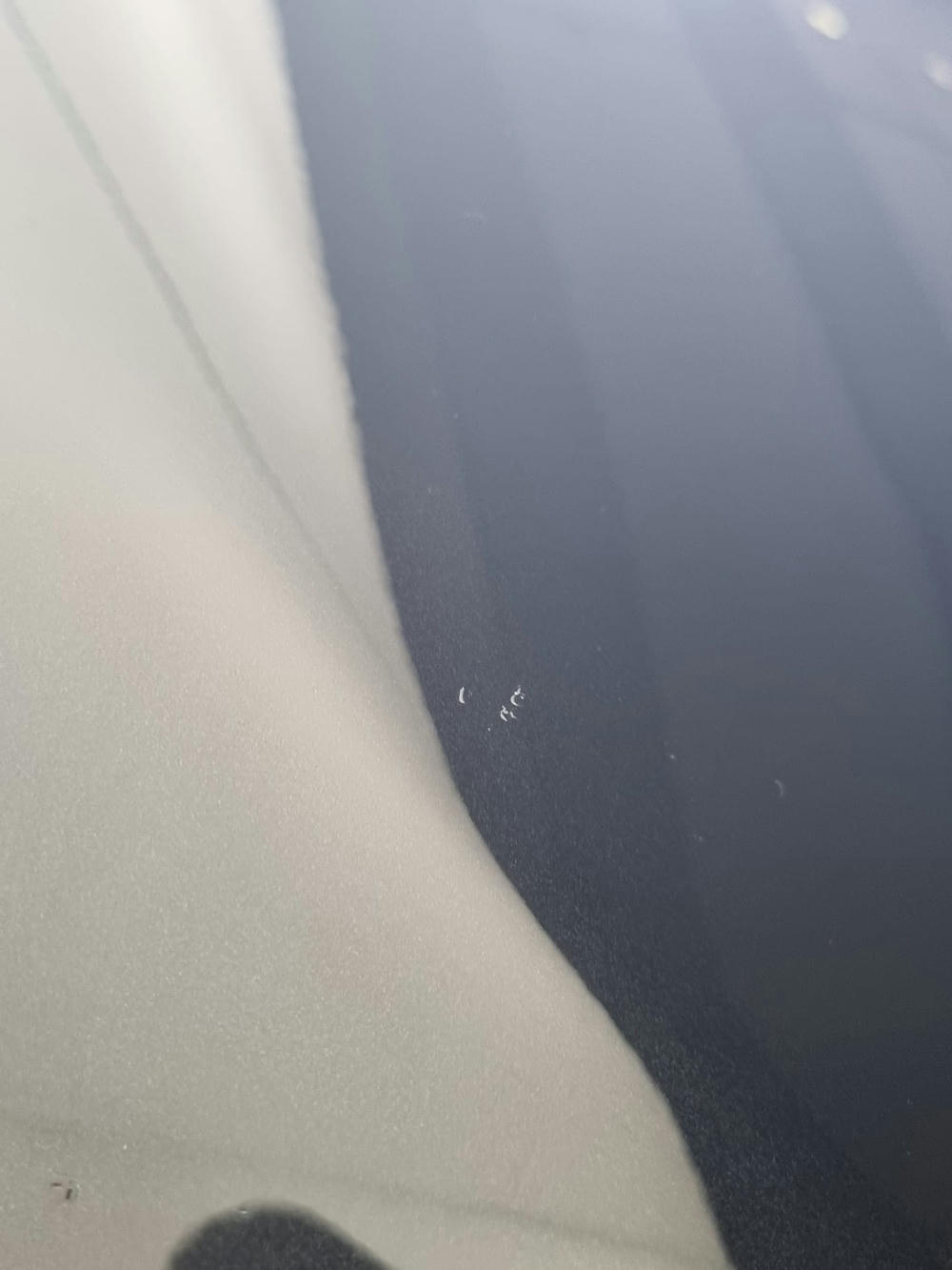 WhatsApp Image 2022-06-10 at 11.54.44 AM.jpeg