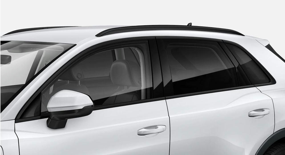 achterruiten tinten.JPG