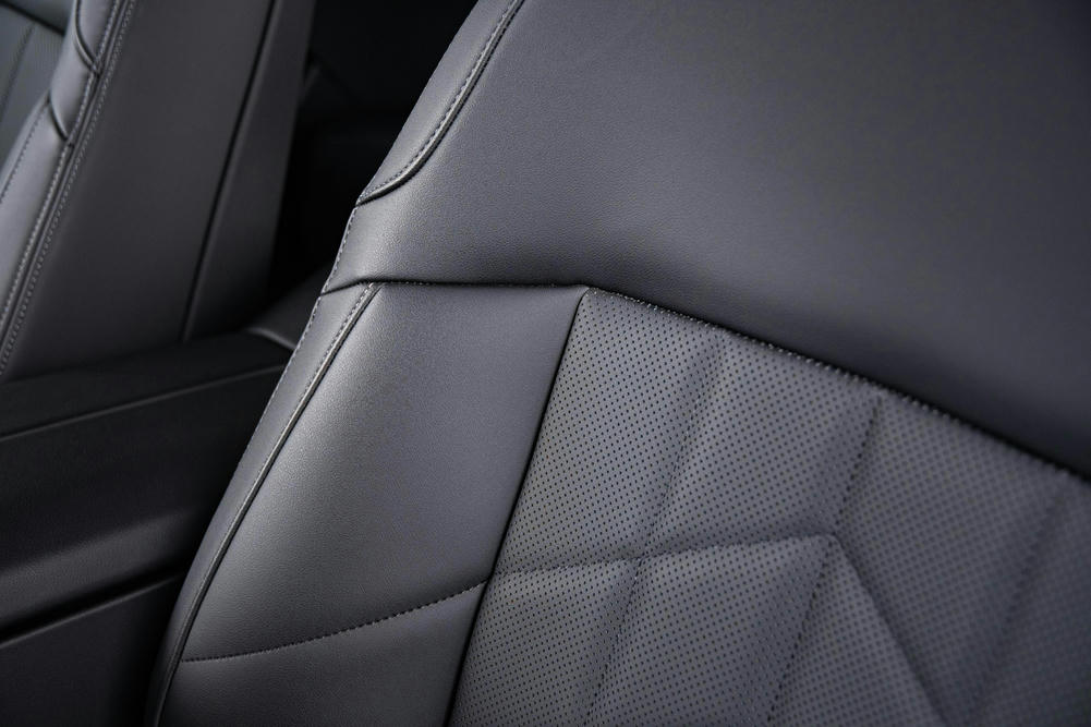 leder verganza met stickseltje