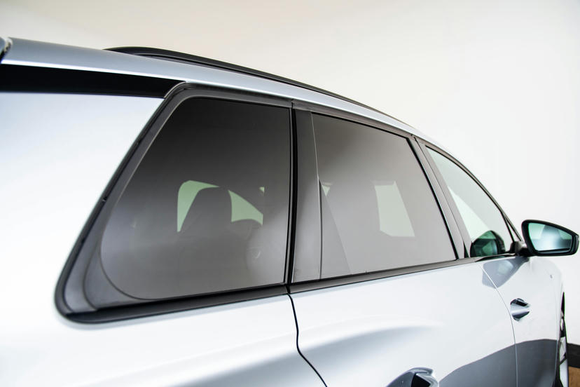 Privacy glas (donker getinte ramen)