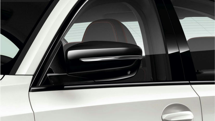 Spiegelkappen in hoogglans zwart