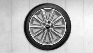17” Vent Spoke 