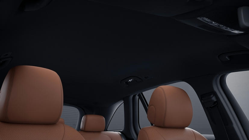 Interieurhemel stof zwart