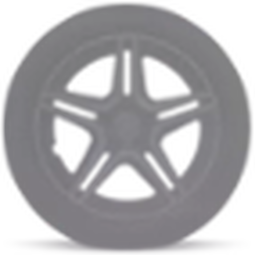 48,3 cm (19 inch) vijf-dubbelspaaks lichtmetalen AMG-velgen