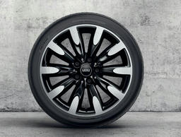 17” Roulette Spoke two-tone